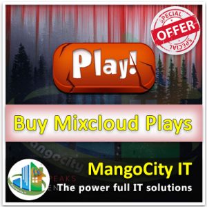 Buy Mixcloud Plays